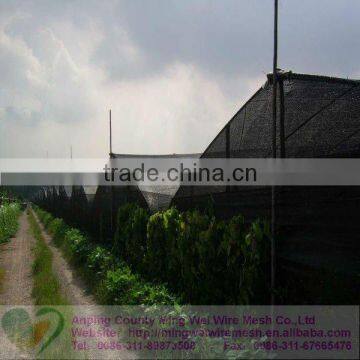 Black Plastic HDPE Flat Weave Sun Shade Wire Mesh