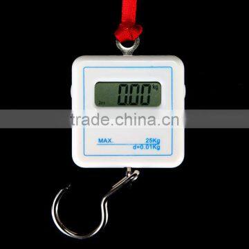 25KG Pocket Portable Digital Electronic Weigh Scale