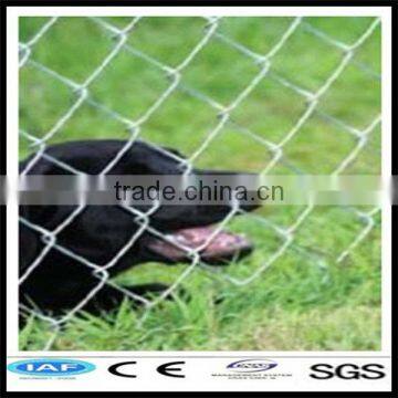 galvanized garden fencing (ISO&CE Anping factory)