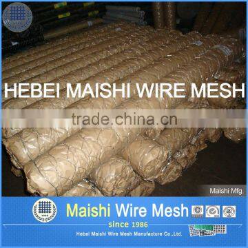 Chicken Coope Hexagonal Wire Mesh photo-5