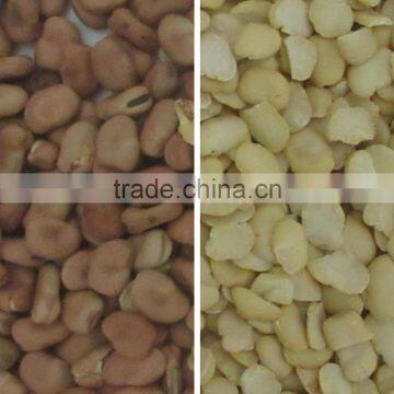 High Capacity Dal Optical Color Sorter in Agriculture photo-2