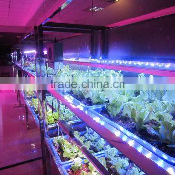 MarsHydro Greenhouse Led Grow Light , MarsHydro LED Lights Grow Bar Led Lighting,hydroponique for Reselling Worldwide Shipping photo-3