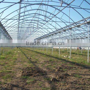 Poly Film Tomato Greenhouse