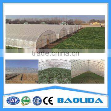 15 Years Warranty 100% Single Span Tunnel Greenhouse photo-4