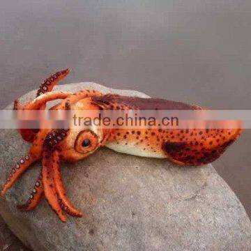 plush cuttlefish sea animal toy