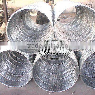 galvanized razor wire