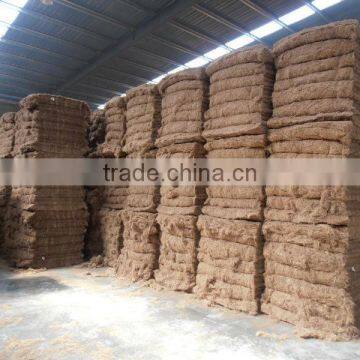 Oil Palm Fibre Moisture Less Than 15% photo-2