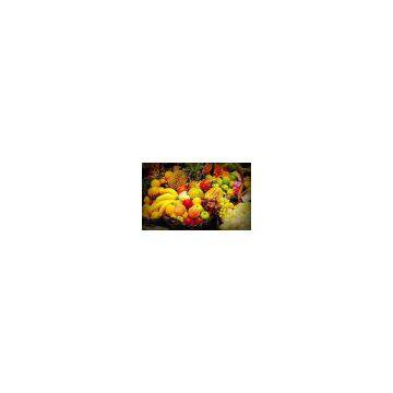 QINGDAO JINNI WINGS INDUSTRY CO.,LTD