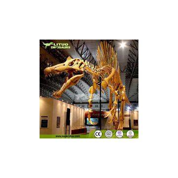 Life Size Dinosaur Fossil Model Replica Spinosaurus photo-2