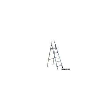Aluminum Ladder
