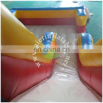 Double Lanes Inflatable Water Slides for Sale, Giant Inflatable Slide for Adult photo-4