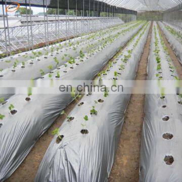 Free Sample Custom Perforated Mulching for Strawberry Planting Agriculture Black Biodegradable Plastic Mulch Film Punch Hole