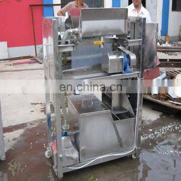 Hot popular factory directly price fruit cleaning machine fruit cleaner fruit washing machine