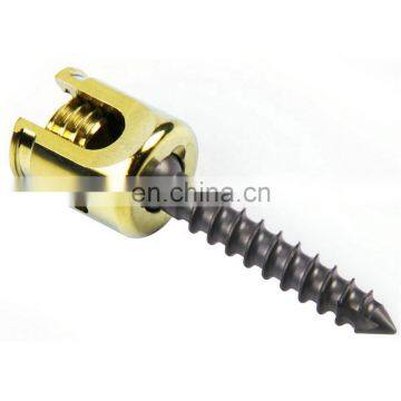 High Quality Orthopedic Surgical Implants Spinal Titanium Polyaxial Pedicle Screw For Posterior Cervical Fixation System