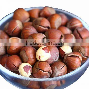 price raw hazelnut