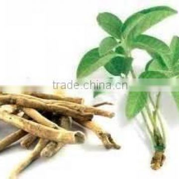 Superior Quality Ashwagandha Root Capsules for bulk supply