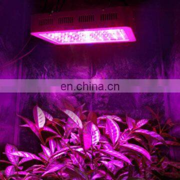 LED Grow Light 1000W Double Chips Full Spectrum for Indoor Hydroponic Plant Flower LED Grow Light High Yield photo-4