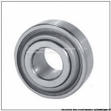 TIMKEN LSM100BR Insérer Des Roulements Cylindrique OD photo-2