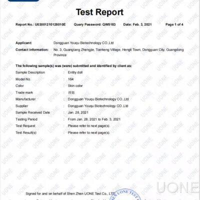 Test Report
