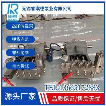 Surface Cleaning Pump,high Pressure Cleaning Pump WP2-S photo-2