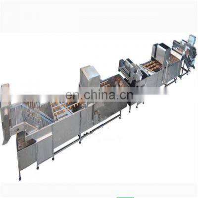 fully stainless steel button mushroom canning plant