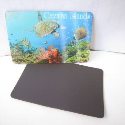 Souvenir Promotional Gifts 3D Lenticular Fridge Magnet photo-2