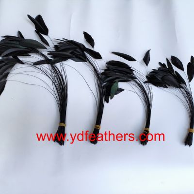 Stripped Rooster/Coque/Cock Tail Feather For Wholesale From China