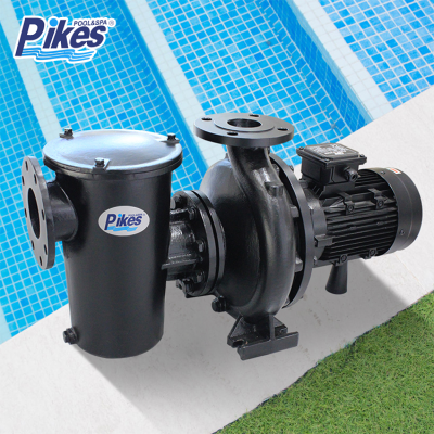 Pikes Big Power 5hp High Quality Iron Material Long Running Circulation Water Pump For Big Swimming Pool