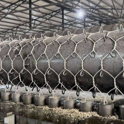 Hr50 Rockfall Netting Double Torsion Reinforced Mesh Wire Plain Weave Factory Direct for Slope Consolidation Work photo-6