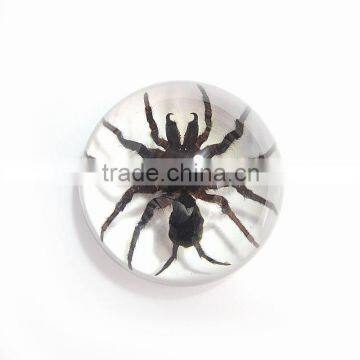 Promotional Gifts Clear Semicircle Crystal Desktop Ornament photo-5