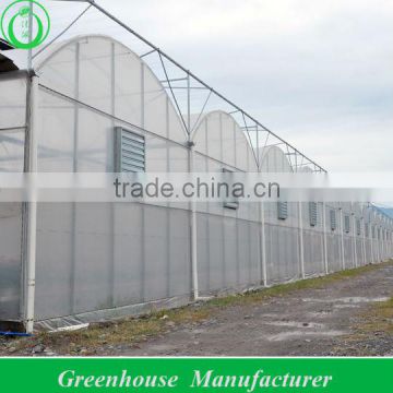 Multi-span Arch Pipes Greenhouse