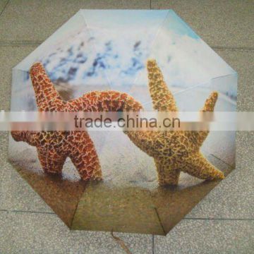 sea star fold umbrella