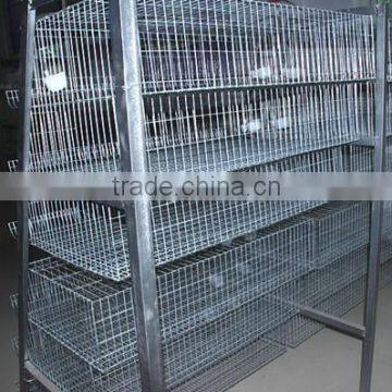 china new design best selling quail cage with automatic drinking system