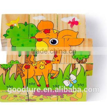 Six Faces Painting 9pcs Wooden Puzzle Blocks