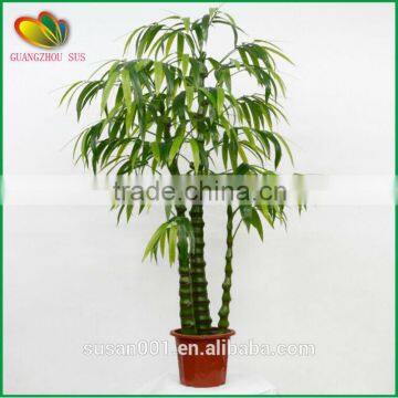 home decoration artificia bamboo fake bamboo plastic lucky bamboo decoration