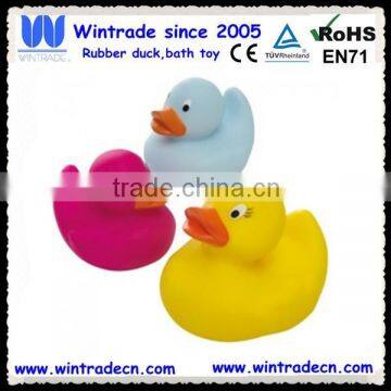 Three colors float duck/rubber duck toy