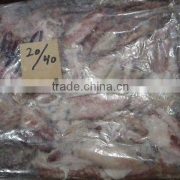 FROZEN LOLIGO SQUID photo-5