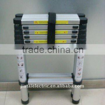 Telescopic Alloy Ladder