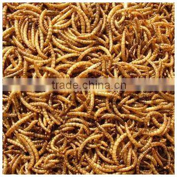 Dried Yellow Mealworm,Birds Food Aquarium Fish Food