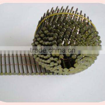 Best Price Coil Nails Factory in Guangzhou photo-5