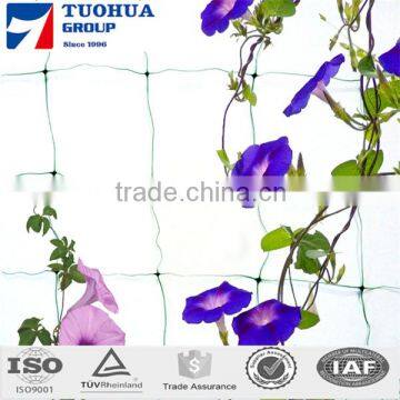 factory direct price extruded plastic pea and bean net/climbing plant support net/PDHE cucumber net