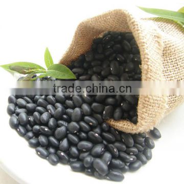 Factory supply pure natural health products black soybean powder semen glycines nigrae powder