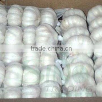 Fresh China Garlic photo-3