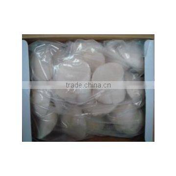 Frozen Scallop photo-2