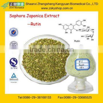 GMP Factory Supply Natural Rutin from Sophora Japonica Extract