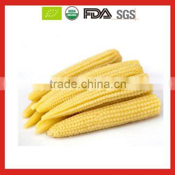 All Natural Best Canned Baby Corn in Brine 425g in Tins