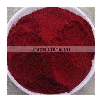 GMP Kosher Natural Prickly Pear Powder