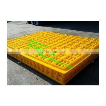 Chicken Transport Cages /poultry Transport Cages photo-2