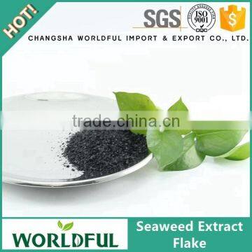 Good price supplement seaweed extract flake organic composition fertilizer