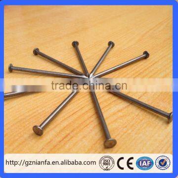 Pakistan high quality polished iron common wire nails for building(Guangzhou Factory)